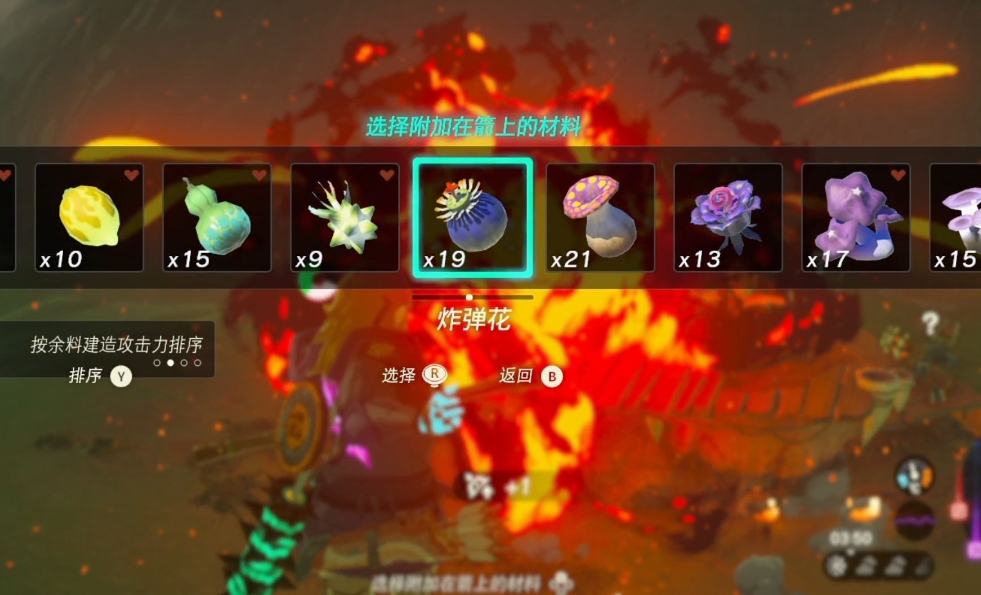 王国之泪炸弹花哪里多-王国之泪炸弹花相关介绍