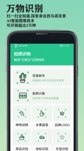 图片识别大师