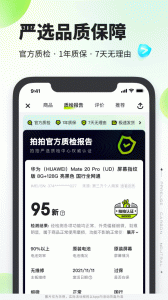 拍拍