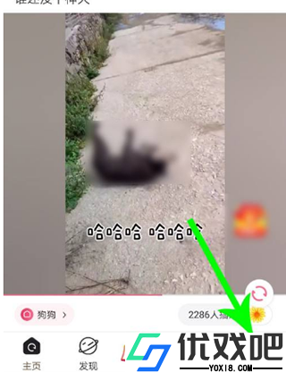皮皮搞笑app