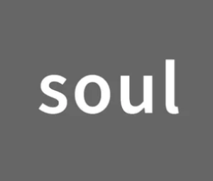 soul聊骚暗语是什么 soul聊骚暗语大全【技巧提升】