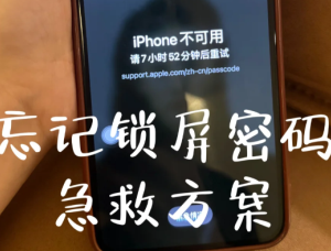 苹果手机密码忘了怎么办 苹果手机密码忘了解决方法【必学技能】