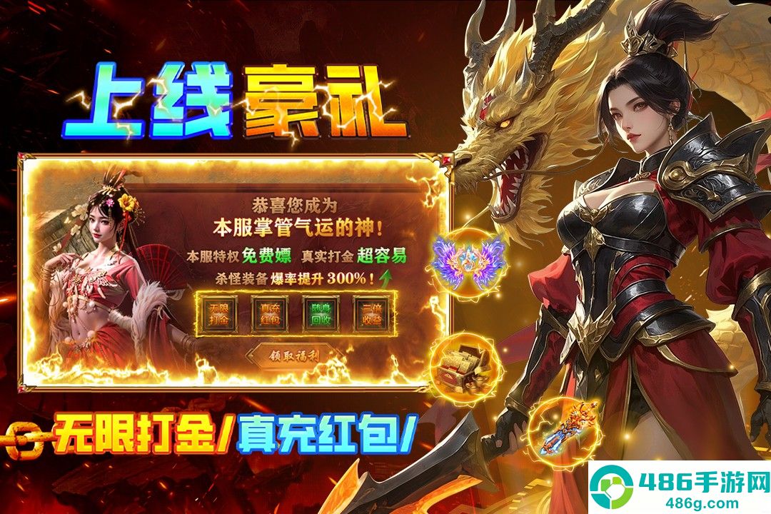 疾风之翼九游版