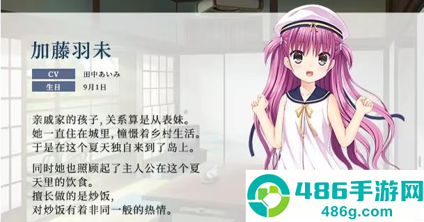夏日口袋全解锁版