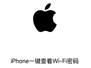 iphone怎么查看wifi密码 iphone查看wifi密码步骤【全面指导】