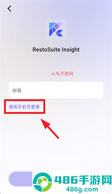 RS Insight官方正版