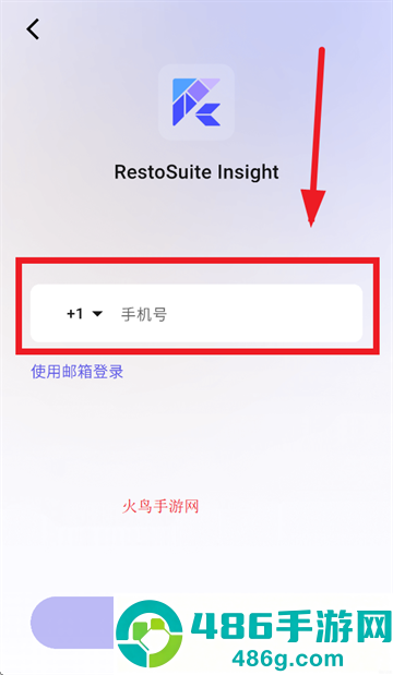 RS Insight官方正版