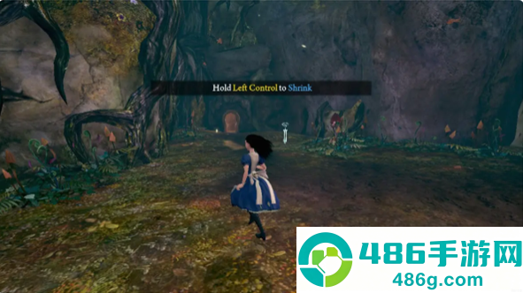 爱丽丝疯狂回归最新版