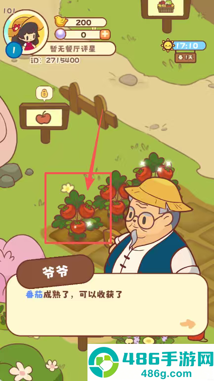 彩虹棉花糖小店手游