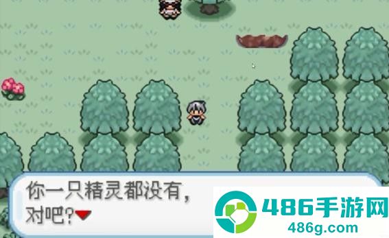 口袋妖怪火箭队汉化版