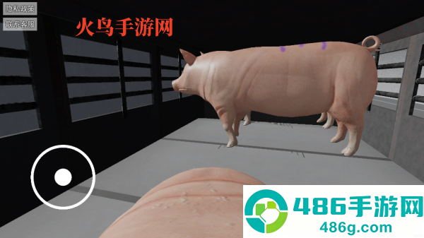 可爱小猪游戏