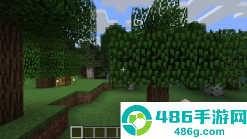 我的世界PE版(Minecraft)