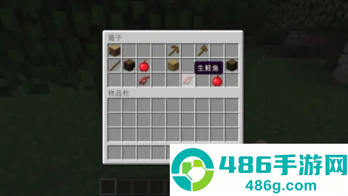 我的世界PE版(Minecraft)