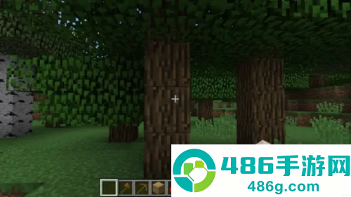 我的世界PE版(Minecraft)