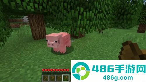 我的世界PE版(Minecraft)