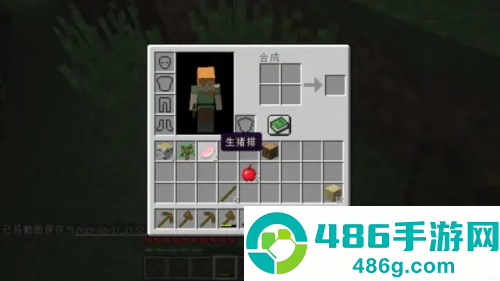 我的世界PE版(Minecraft)