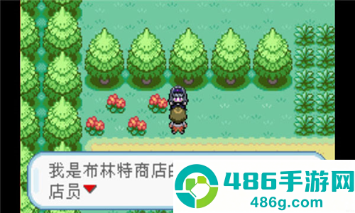口袋妖怪火红全随机版最新版(究极绿宝石5.2)