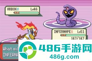 口袋妖怪釉色汉化版