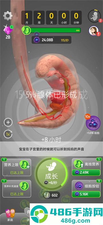 我的孩子九个月游戏