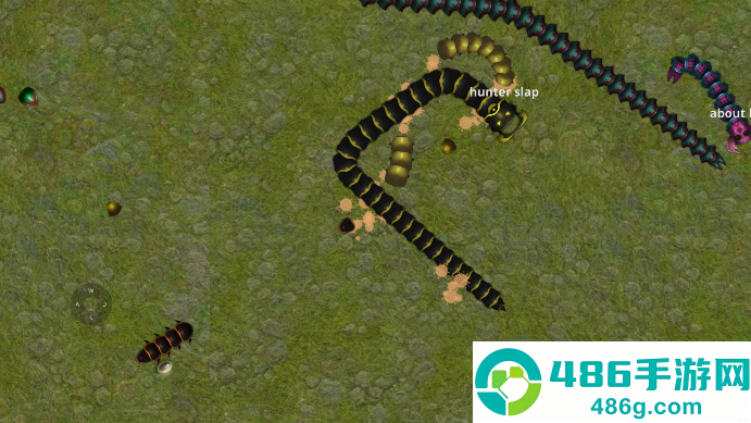 巨蛇蠕虫游戏(Snake Battle)