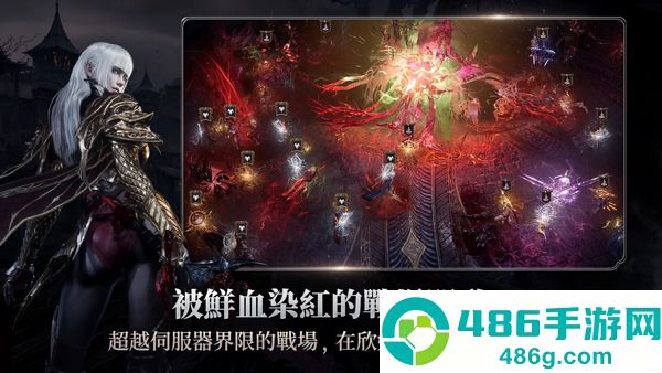 vampir血之继承者下载(VAMPIR安装器)