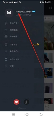DotaMax官方版下载(Max+)
