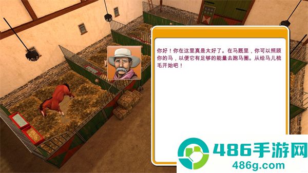 小马的世界我的骑乘游戏