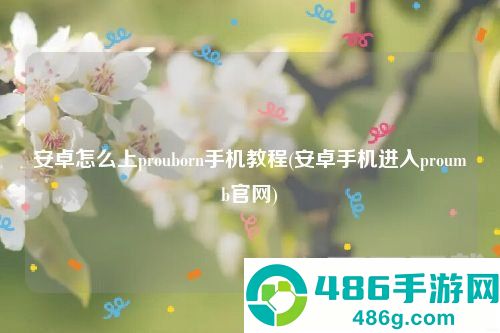 安卓手机如何进入proumb网站