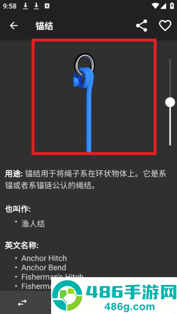 3D绳结软件(Knots 3D)