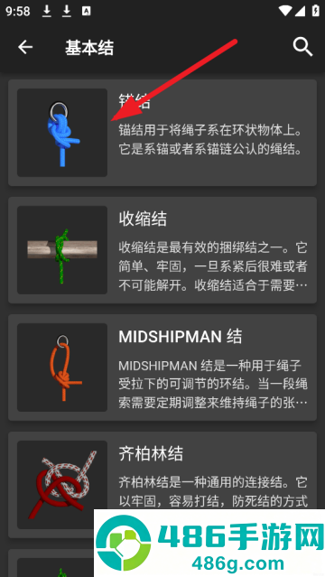 3D绳结软件(Knots 3D)
