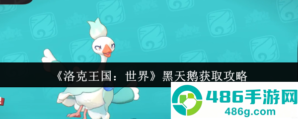 洛克王国黑天鹅速刷指南
