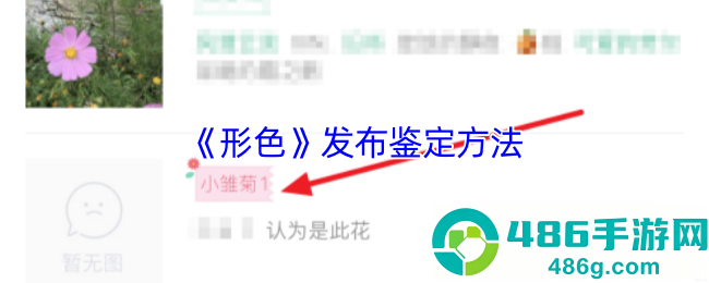 形色