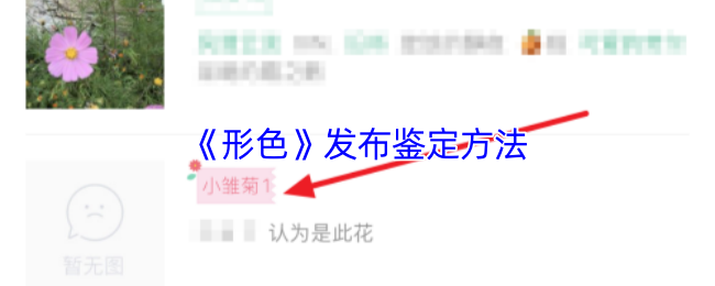形色-APP-植物鉴定全攻略:3-分钟成为野生植物学家【养成方法】