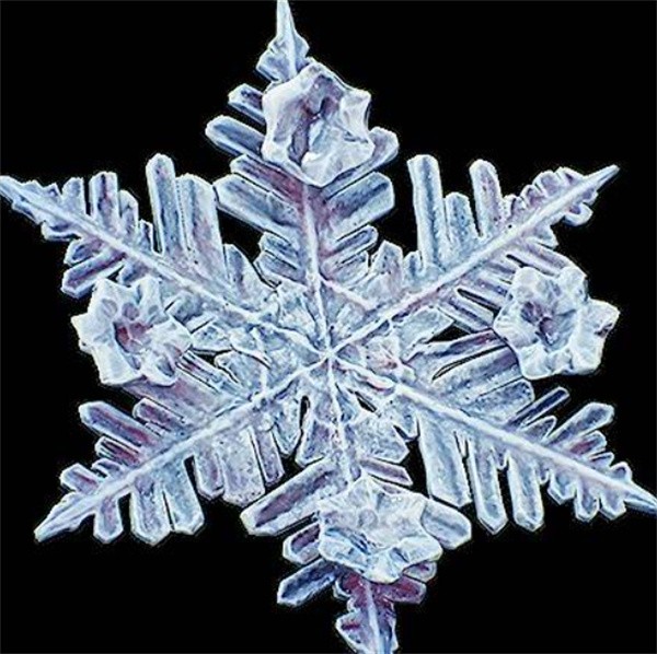 冰封利刃降临!光与影33号远征队吕涅雪结终极获取指南【全攻略】