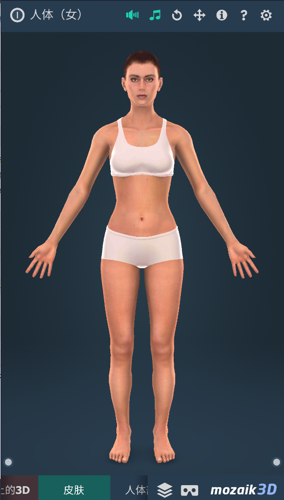 Humanbody