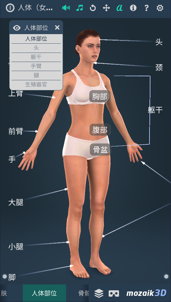Humanbody