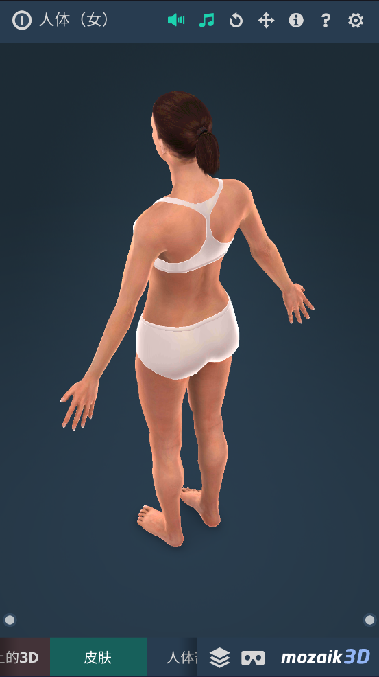 Humanbody