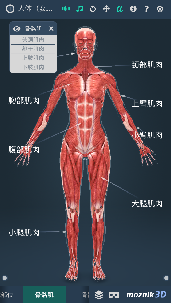 Humanbody
