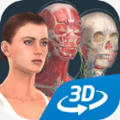 humanbody官方下载2026Human body female