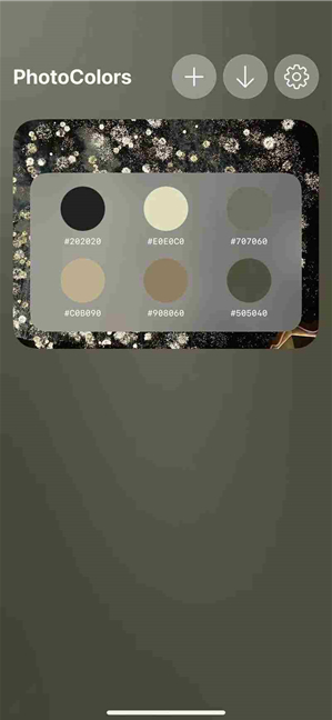 photocolors软件官方版