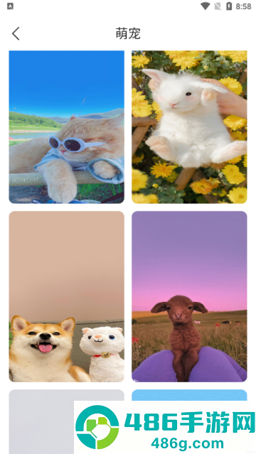 花令壁纸app
