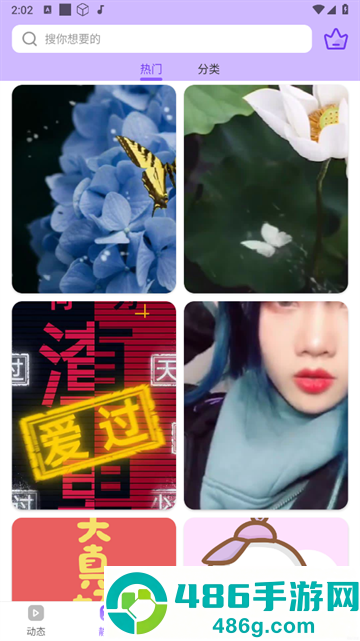 动态壁纸制作桌面软件