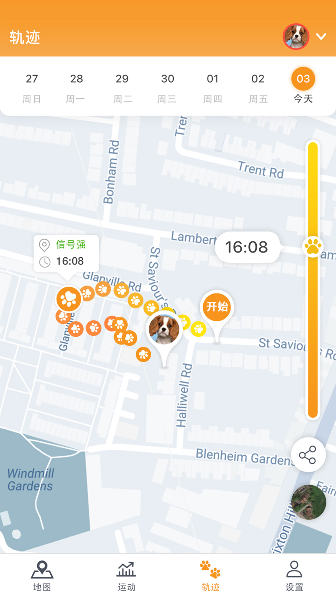pawfit中文版app