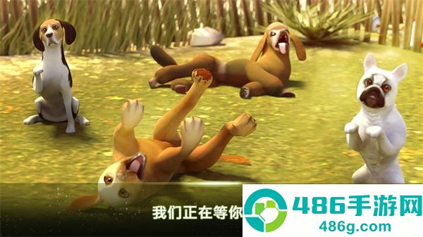 我的寄宿狗屋游戏(DogHotel)
