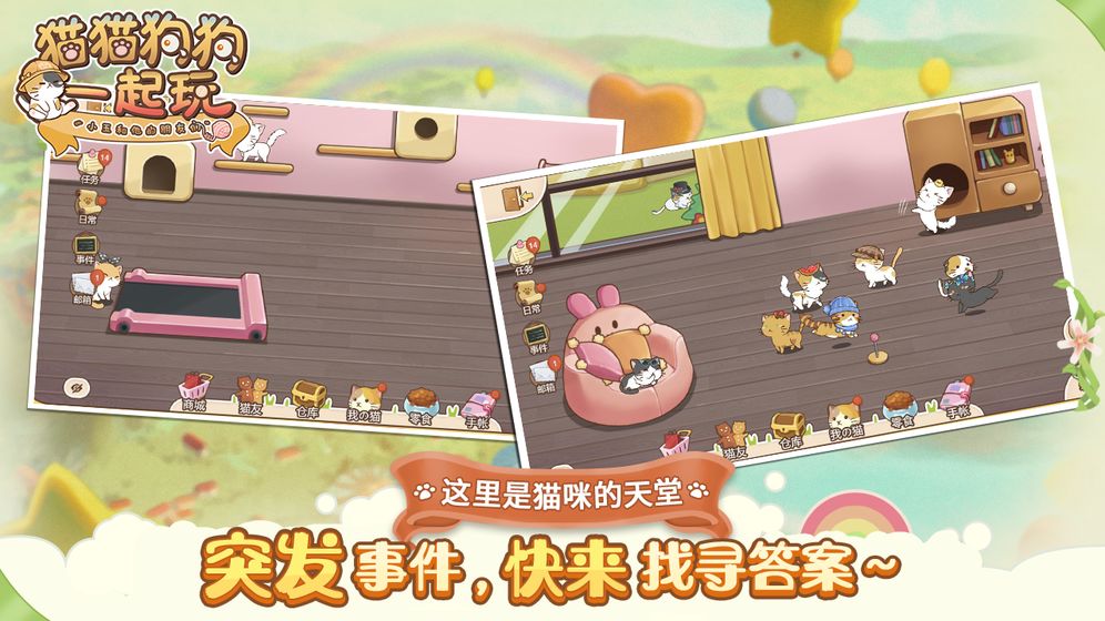 猫猫狗狗一起玩app官方正版下载