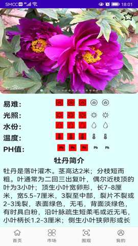 灵尚绿植宝app安卓版下载