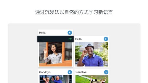 罗塞塔石碑app安卓版下载