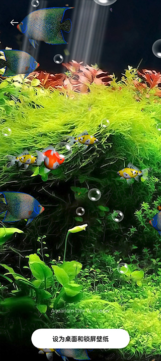 水族馆动态壁纸汉化版下载安装