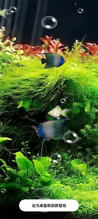 水族馆动态壁纸汉化版下载安装