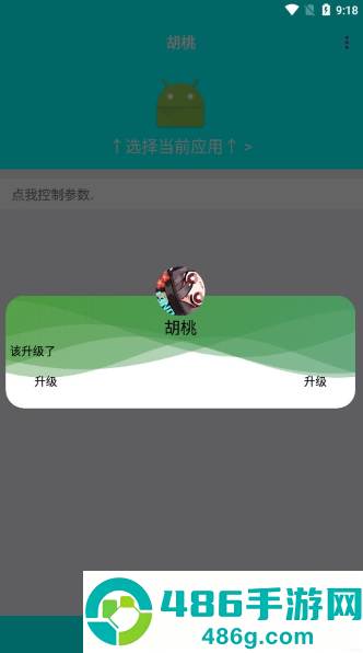 胡桃弱网10.0参数